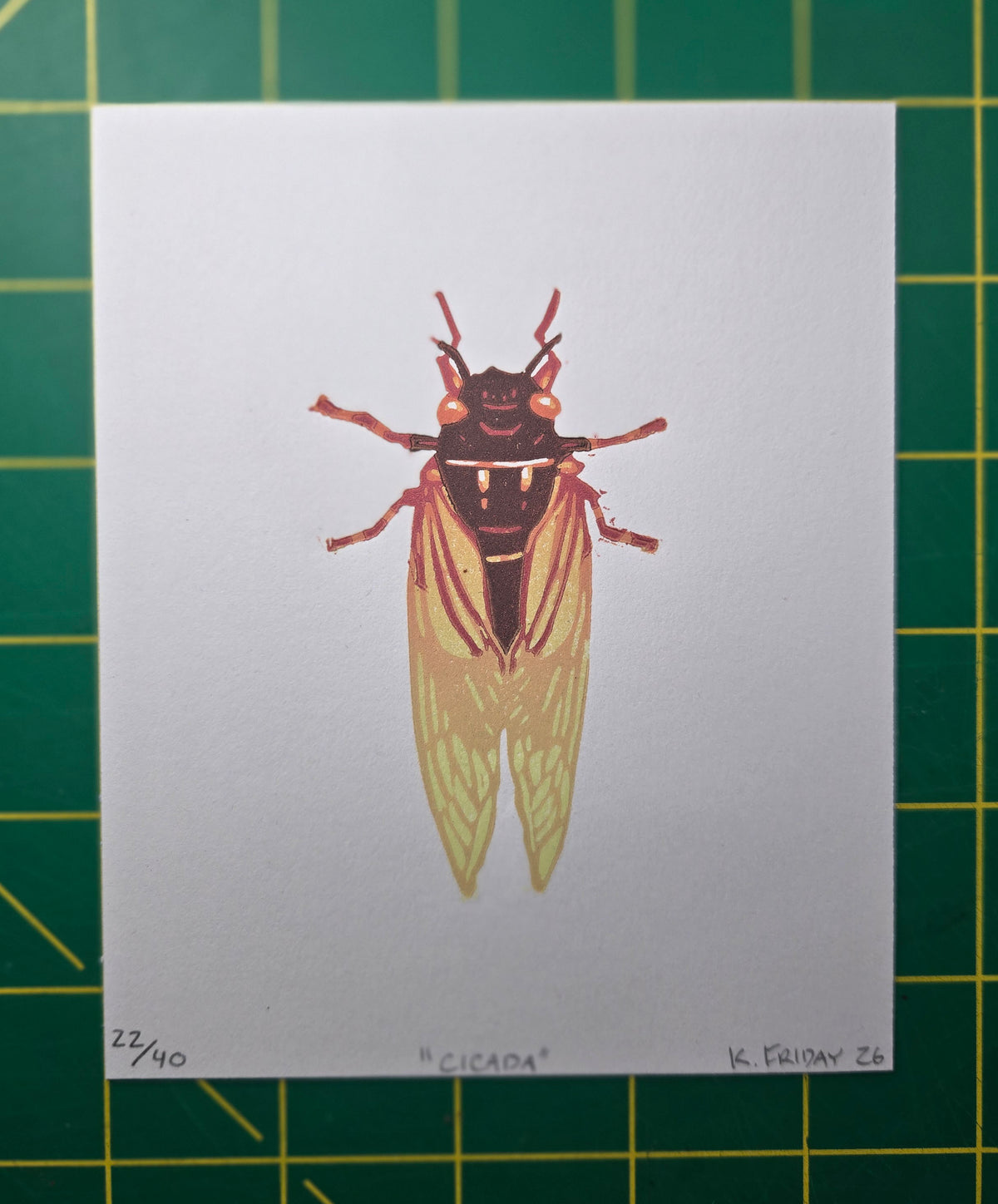 Cicada Print