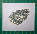 Oyster print