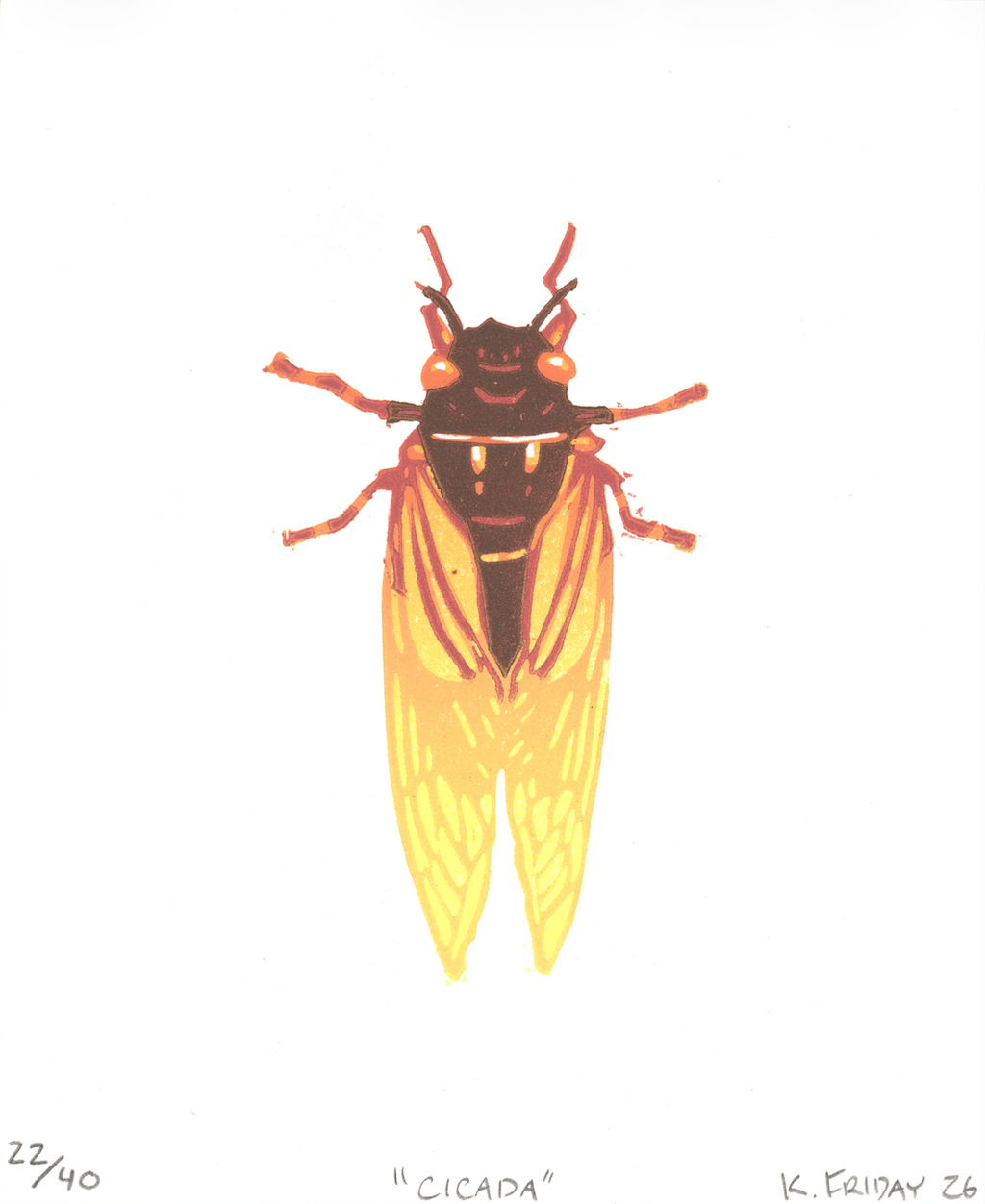 Cicada Print