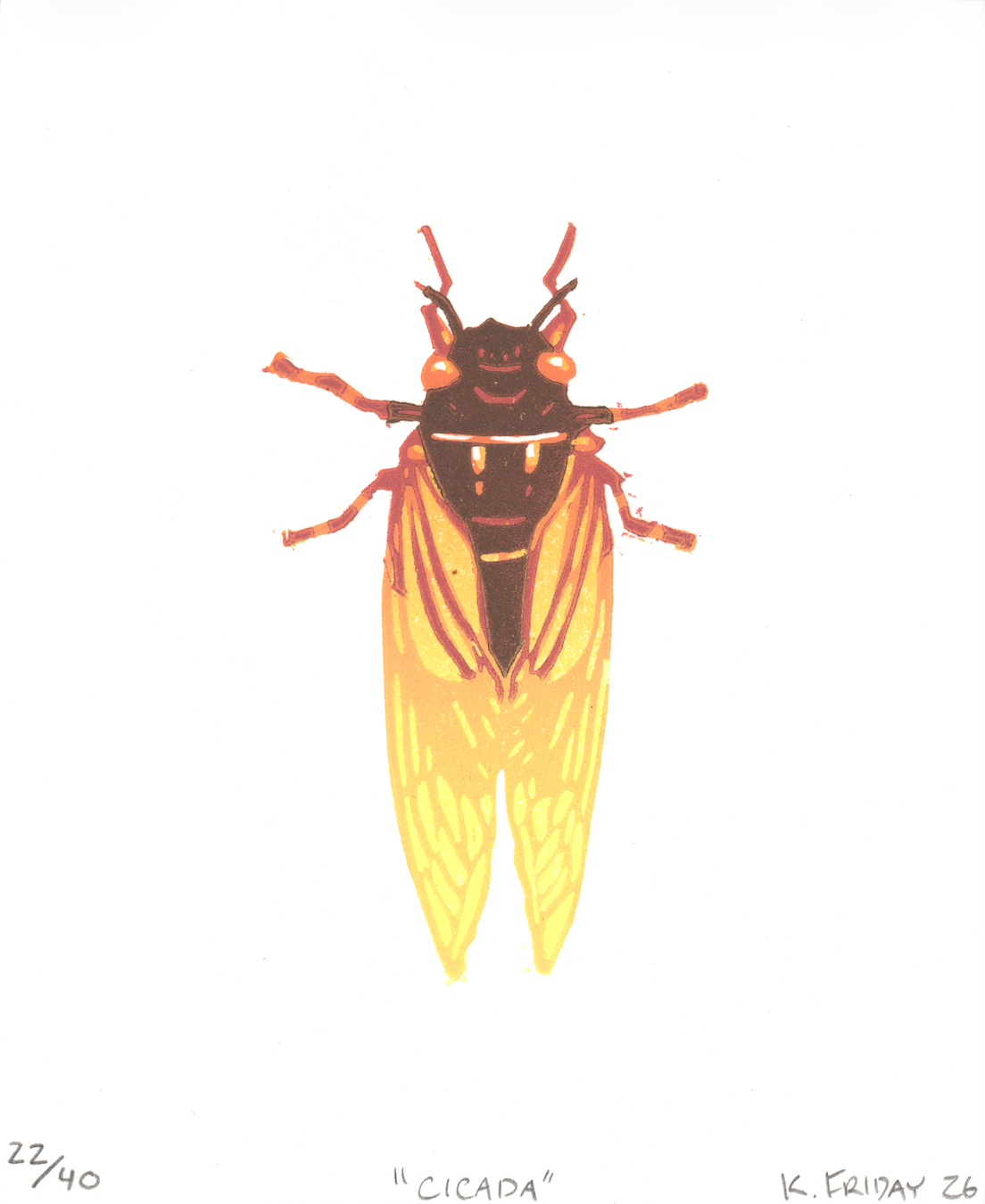 Cicada Print