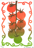Vine Tomato Print